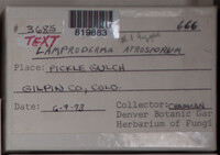 Image Associated With the Occurence